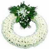 բҵ